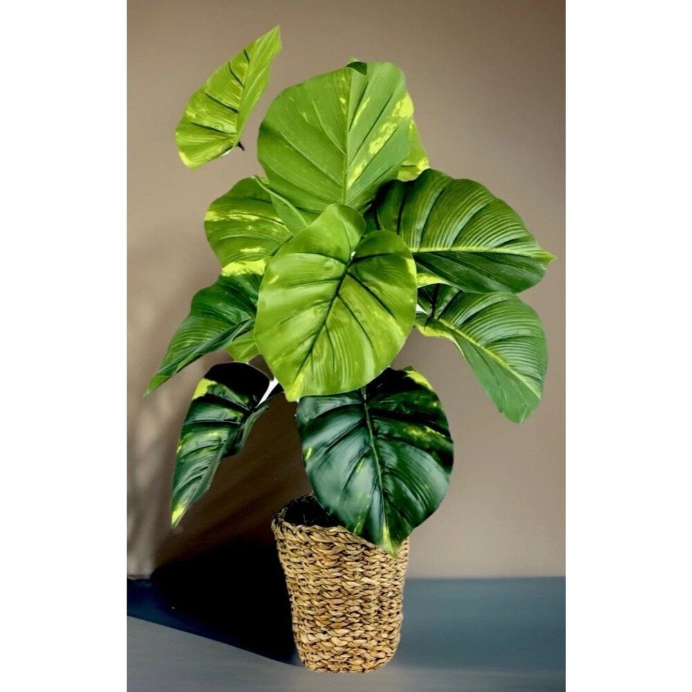 Faux Pothos Plant in Wicker/Rattan Basket 30” New
